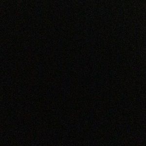 Meet your Posher, Terry